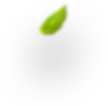 Decorative leaf